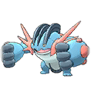 Swampert Mega