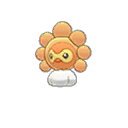 Castform Sunny
