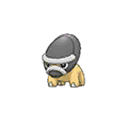 Shieldon