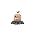 Diglett Alola