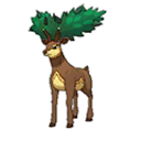 Sawsbuck Summer
