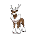 Sawsbuck Winter
