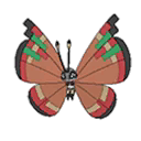 Vivillon Archipelago