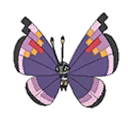 Vivillon Elegant