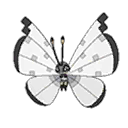 Vivillon Icy Snow