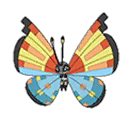 Vivillon Ocean