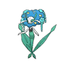 Florges Blue