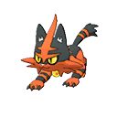 Torracat