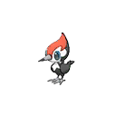 Pikipek