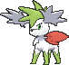 Shaymin Sky