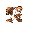 Pidgeot