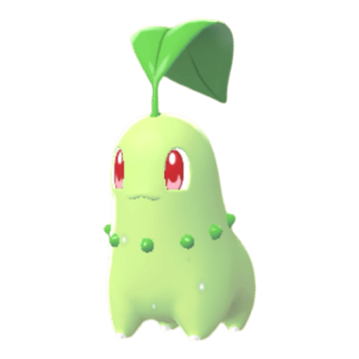 Chikorita
