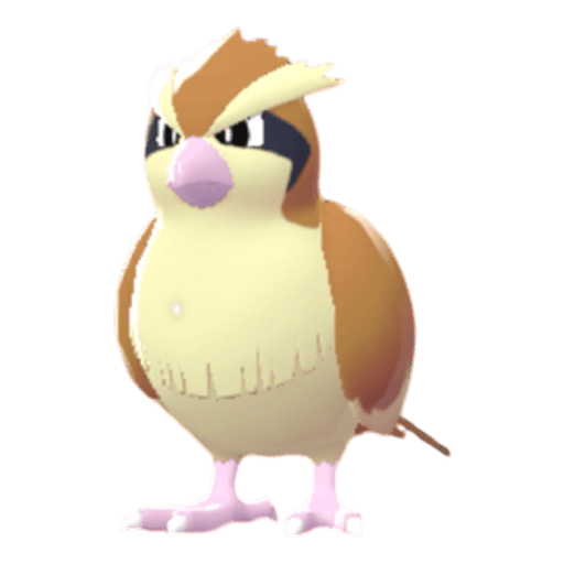 Pidgey