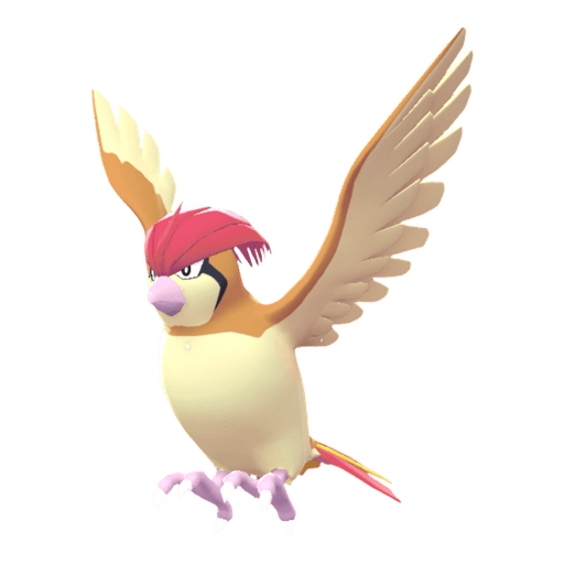 Pidgeotto