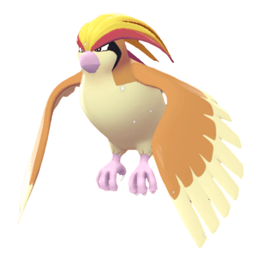 Pidgeot