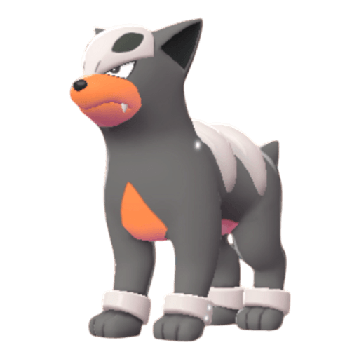 Houndour