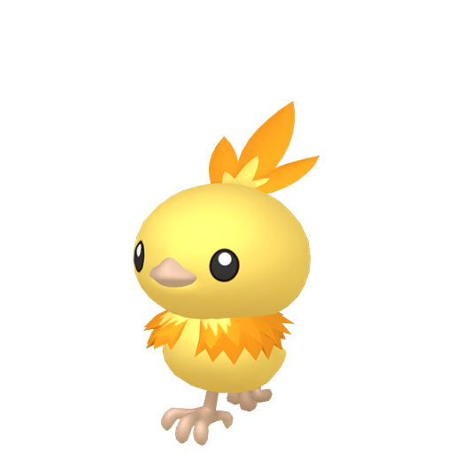 Shiny Torchic render