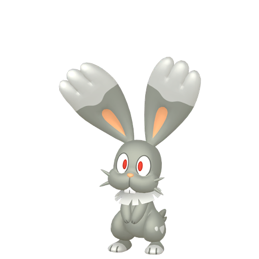Shiny Bunnelby render