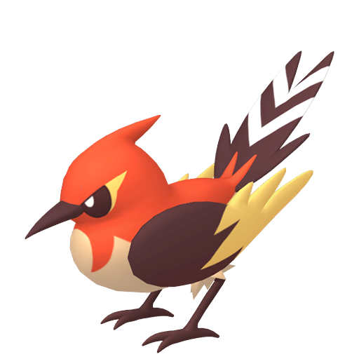 Shiny Fletchinder render