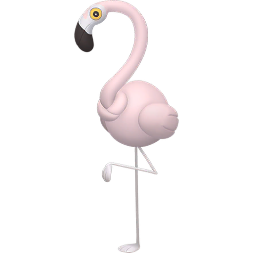 Shiny Flamigo render
